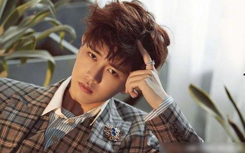 娱乐吃瓜蜀黍任嘉伦视频,娱乐圈幕后故事大揭秘！