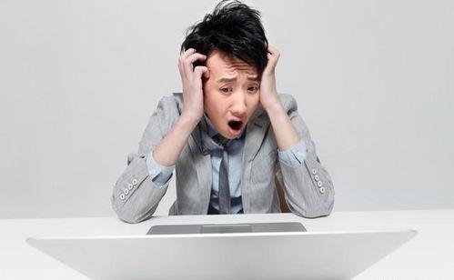 在娱乐圈写文吃瓜爆红