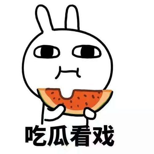 吃瓜群,网络社交的趣味与争议